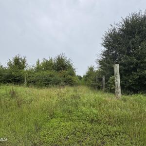 IMG_2737