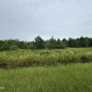 IMG_2751