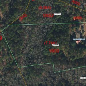 1890 Flowers Rd_GIS_2