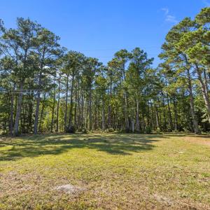 220 Nelson Neck Rd Street View