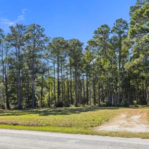 220 Nelson Neck Rd Street View