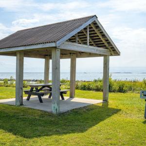 Picnic Area