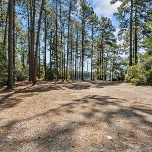 43-web-or-mls-DSC00386