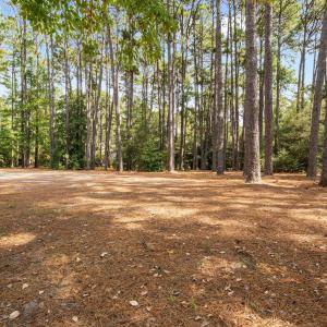 23-web-or-mls-DSC09741