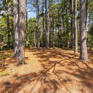 24-web-or-mls-DSC09742