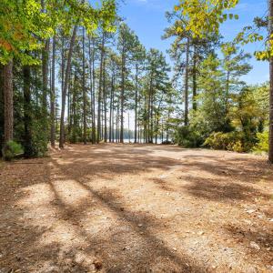 19-web-or-mls-DSC09737