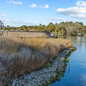 9-web-or-mls-1S3A0518