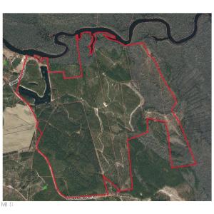 Chad Gis photo