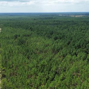 dji_fly_20250724_031830_97_1753310045527