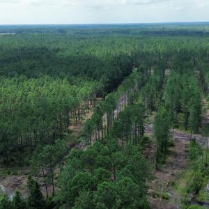 dji_fly_20250724_031654_95_1753310046599