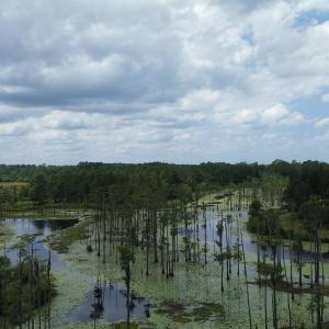 dji_fly_20250724_021106_68_1753310058324