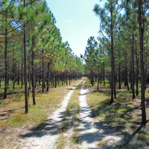 dji_fly_20250917_234354_110_175814358089