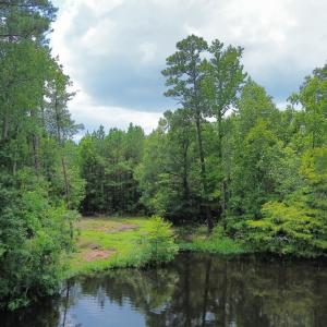 dji_fly_20250724_022932_81_1753310053460