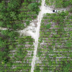 dji_fly_20250724_021604_73_1753310056090