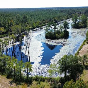 dji_fly_20250917_233340_106_175814361490