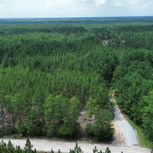 dji_fly_20250724_031604_93_1753310047713