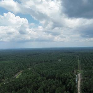 dji_fly_20250724_021622_74_1753310055697