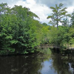 dji_fly_20250724_013732_66_1753310059145