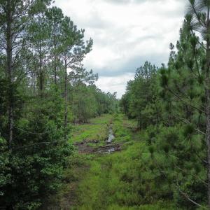 dji_fly_20250724_021808_79_1753310054285