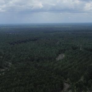 dji_fly_20250724_021654_76_1753310054990