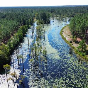 dji_fly_20250917_233400_107_175814361614