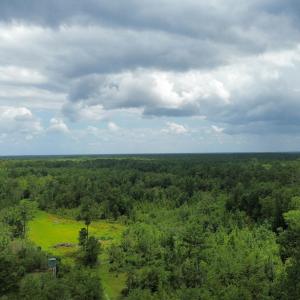 dji_fly_20250724_024650_88_1753310050272