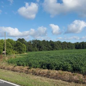 Lot view towards left