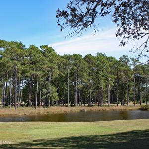 Tiger's Eye Pond View