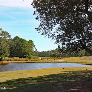 Tiger's Eye Hole 8 Pond