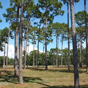 Barrington Place Homesite