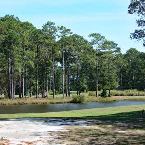 Pond and Wildlife View