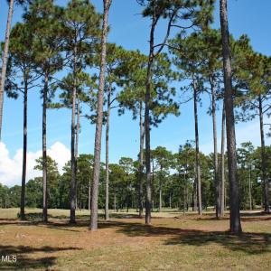 Barrington Place Homesite on Tiger's Eye