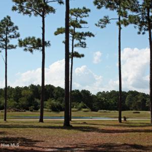 Front of Homesite to Road and Pond