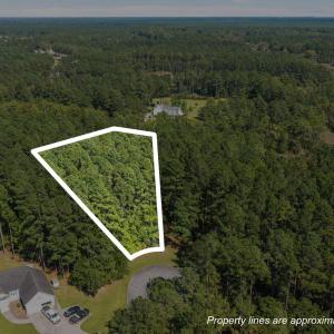 105 Sumter Ct. Aerial w/outline