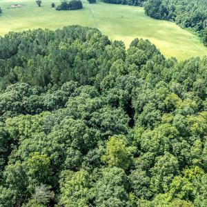4833-Woods-6