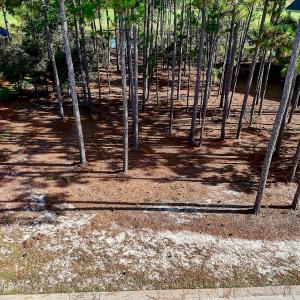 3158MossHammockWynd - 2