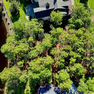 3158MossHammockWynd - 31