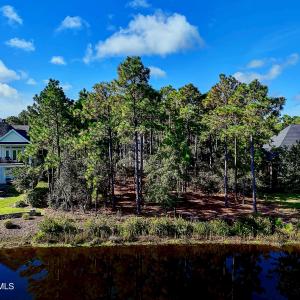 3158MossHammockWynd - 24