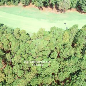 DJI_0318