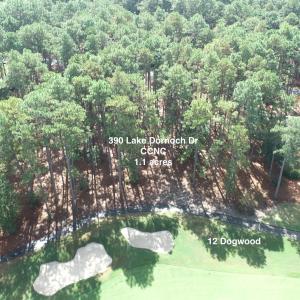 DJI_0335