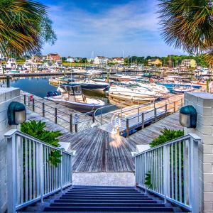 8 The Marina