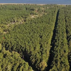 DJI_20250912090148_0509_D Large