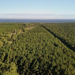 DJI_20250912084906_0484_D Large