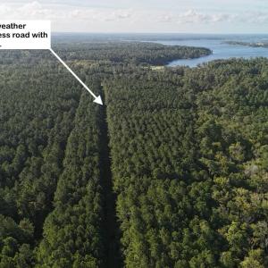 DJI_20250912085855_0504_D Large