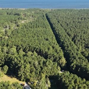 DJI_20250912090213_0510_D Large