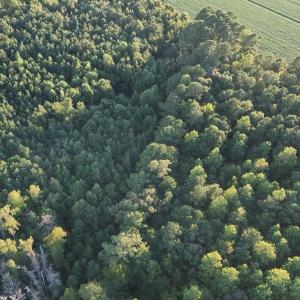 dji_fly_20250918_183010_0436_17582353821