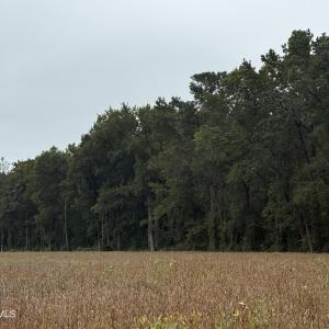 IMG_0568