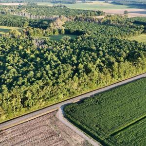 dji_fly_20250918_183208_0441_17582353760