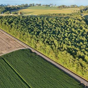 dji_fly_20250918_183106_0438_17582353715