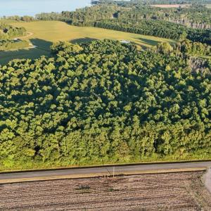 dji_fly_20250918_183202_0440_17582353745